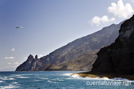 Zona del Monumento Natural de Los Órganos. La Gomera.